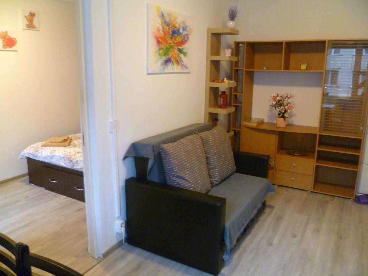 Romanilor - Studio First Floor Deva Buitenkant foto