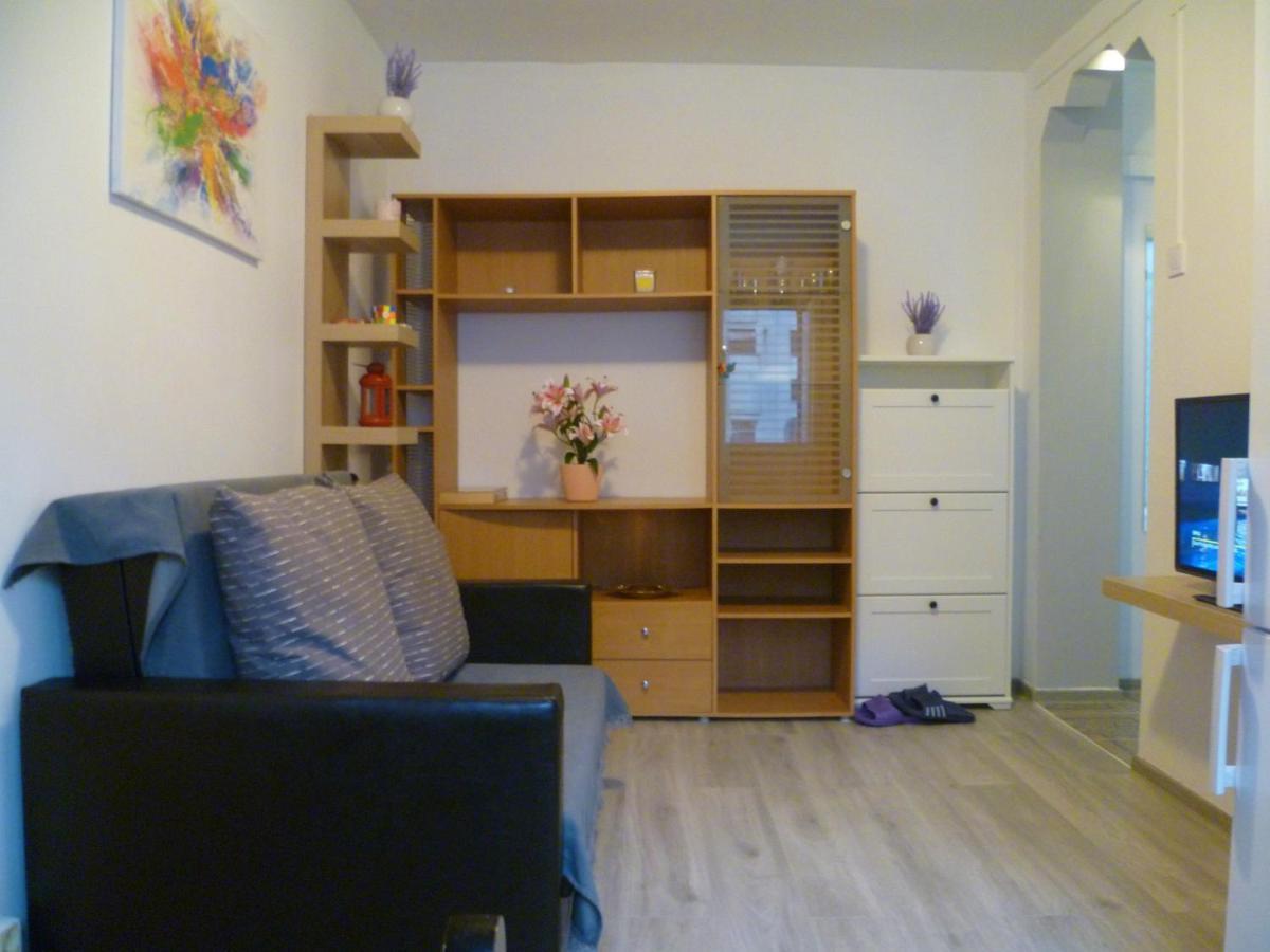 Romanilor - Studio First Floor Deva Buitenkant foto