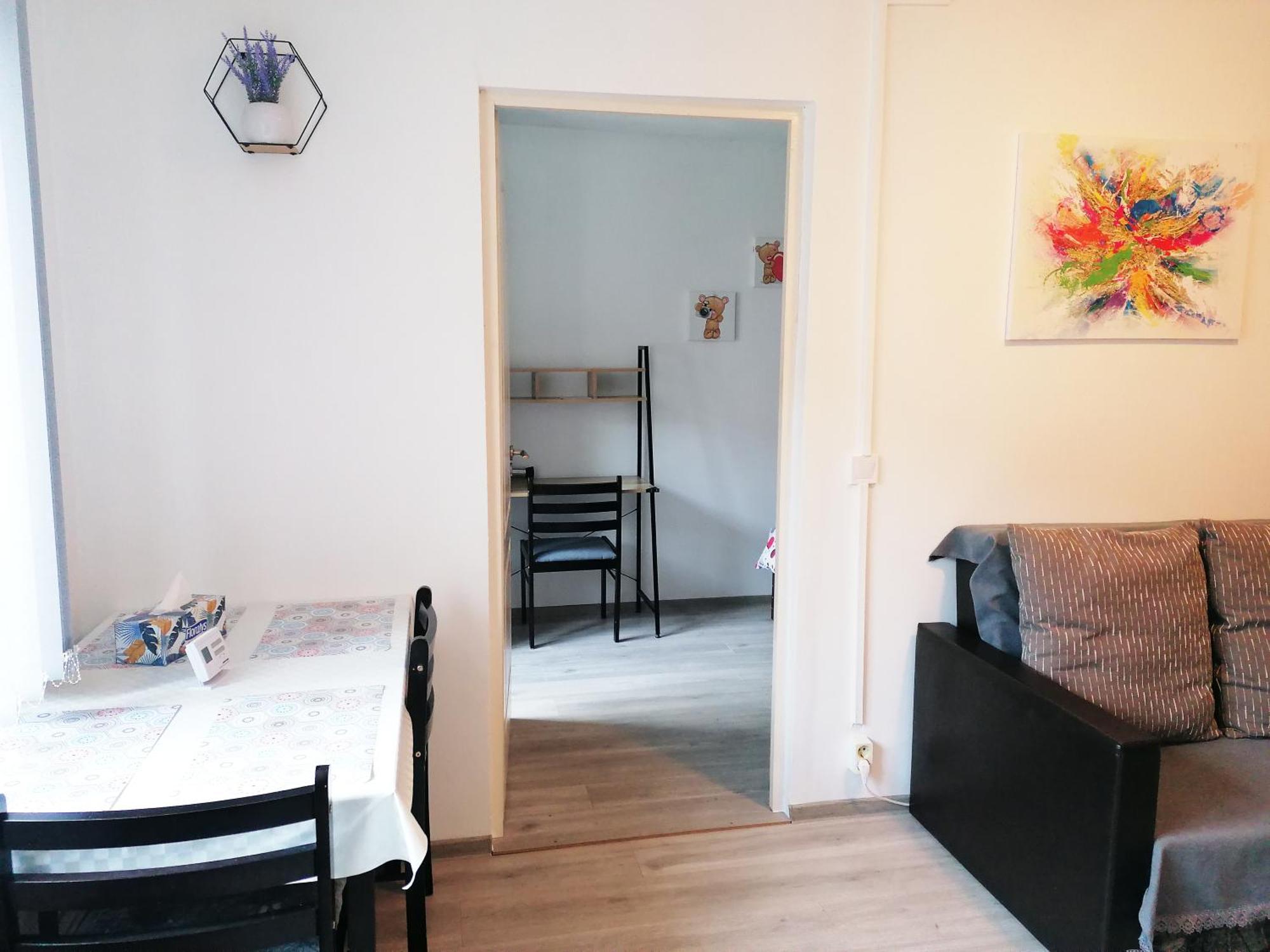 Romanilor - Studio First Floor Deva Buitenkant foto